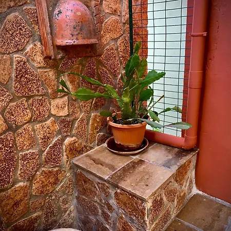 Luxurious Retreat In Argostoli. An Elegant Way Of Living! Apartment *